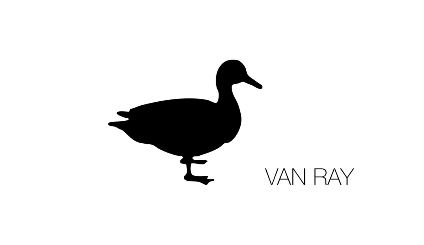 It's an honor to announce GIN HUANG Gallery have an opportunity to collaborate with German artist Van Ray.